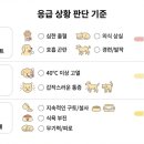 서리풀동물병원 이미지