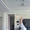 오로라 태권도장 이미지