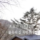 오도산펜션 | 오도산 자연휴양림 숲속의 집🌲 합천 여행 독채 펜션 숙박하고 별구경