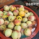 동의건강원 - 수성구 달구벌대로641길 17-3 | 동의건강원