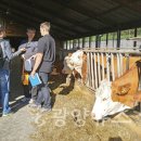 희망돈 농장 이미지