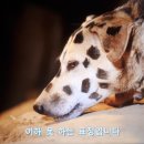 묘책 이미지