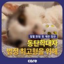 🙏동탄 고양이 학대사건🙏 첫 재판을 앞두고 탄원서 제발 부탁드립니다. 이미지