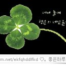 영희야놀자