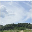 나무부동산중개 이미지