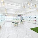 유앤미펫 고양이분양 강아지분양 인천본점 이미지