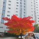 (주)연재 이미지