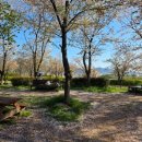 강정고령보 | 대구 강정보 피크닉🍃 벚꽃 막차 탑승🌸 | 강정고령보 평일 방문 후기