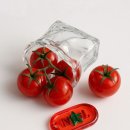 토마토PC 이미지