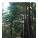 월평약수터 이미지