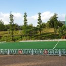 호미골체육공원 이미지