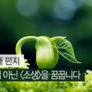 ＜혁신＞이 아닌 ＜소생＞을 꿈꿉니다(조근호의 월요편지) 이미지