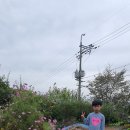 맛있는정원리틀포레스트