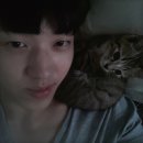 도운 카카오 검색결과
