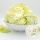 샐러드야 이미지