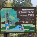 정원 좌측 화장실 네이버블로그
