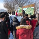 (사)한국스카우트연맹 이미지