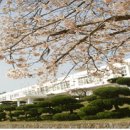 동산1교 - 양양군 | 동산1교