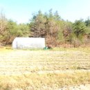 노동상리 이미지