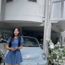 칼리프(CALIF) 이미지