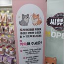 씨유펫문학점