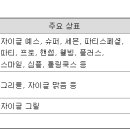 (주)예스헬스케어 이미지