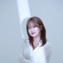 헤이스토리 이미지