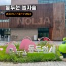 밤곶이 놀자 숲놀이터 | 74P : 비 오는 날 방문한 실내 액티비티 놀이터 체험학습 동두천 놀자숲 할인