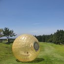 빅볼 - 남구 광복마을7길 7 | 빅볼