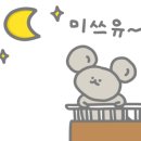 희스테이 이미지
