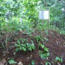 대신자원 이미지