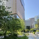 2506 주간일기/30대의 에버랜드, 계곡백숙