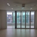 선디자인 이미지