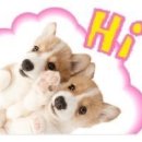 애개애개 이미지