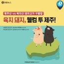 웰컴투제주