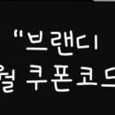 브랜디_카카오페이