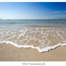 태평태양광발전소 이미지