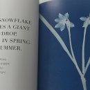 화가와 꽃 이미지