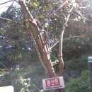 적석산 등산로입구 이미지