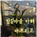 아프리코 | 광명 밤일마을 카페추천 아프리코 내돈내산 방문후기