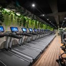 올림픽 헬스클럽 이미지