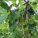 영봉농장 이미지