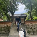 용연사 | 대구 달성군 옥포 가족과 방문하기 좋은 사찰 적멸보궁이 있는 용연사