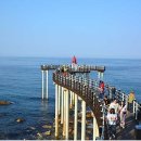 영덕 스테이 이미지