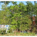 꿈꾸는 다락방 이미지