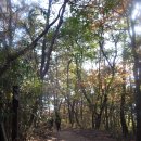 [광주 광산구]광주여대~동자봉(154m)~어등산 석봉(338m)~등용정~농악전수관~광주여대 다녀오기(2022/11/7/월 오후) 이미지