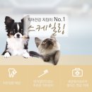 크라운 동물병원 이미지