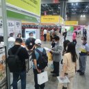 패밀리만두 이미지