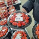 동네푸드 | '양산 로컬푸드' 방문 후기!