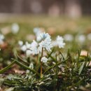 정도행정사 이미지